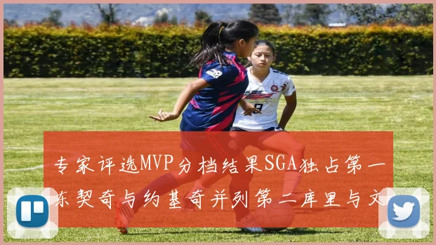 专家评选MVP分档结果SGA独占第一东契奇与约基奇并列第二库里与文班位列第四