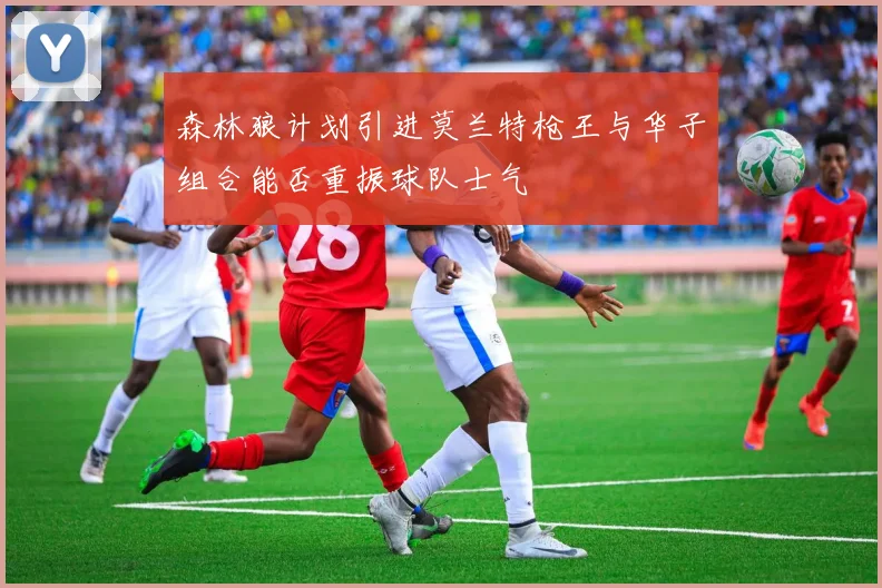 森林狼计划引进莫兰特枪王与华子组合能否重振球队士气