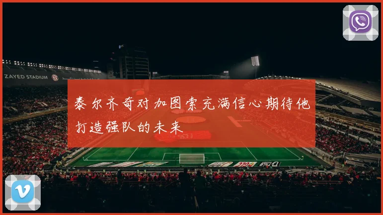 泰尔齐奇对加图索充满信心期待他打造强队的未来