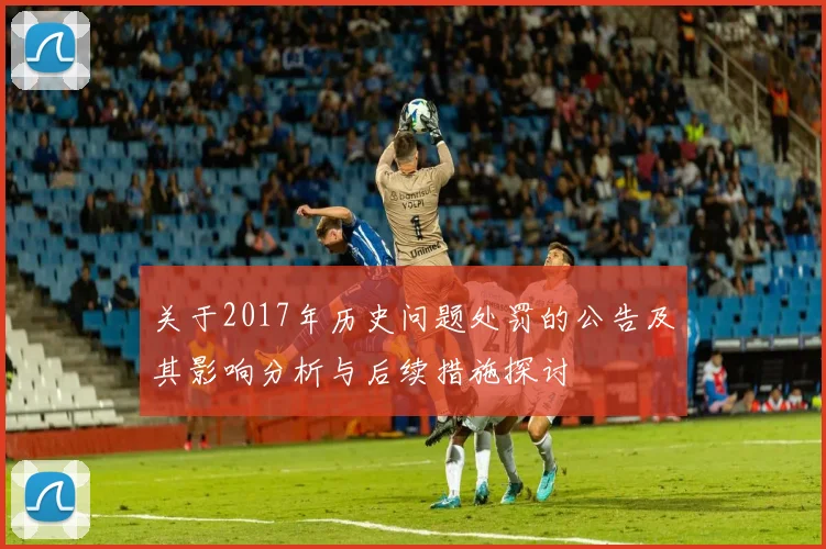关于2017年历史问题处罚的公告及其影响分析与后续措施探讨